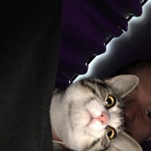 Meet your Posher, Nathen